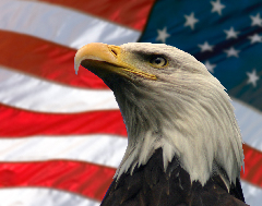 American Flag & Eagle 