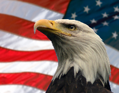 American Flag & Eagle American Flag & Eagle