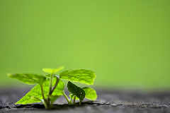 A New Beginning A New Beginning