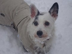 Buddy Idris - Yousif Buddy Idris- Yousif